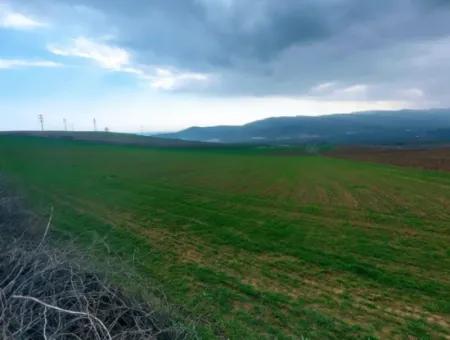 Investitionsmöglichkeit Für Gewerbe- Und Industriegebiete Im Rahmen Des Aktuellen Bebauungsplans Des Asyaport-Hafens In Der Region Tekirdağ Barbaros