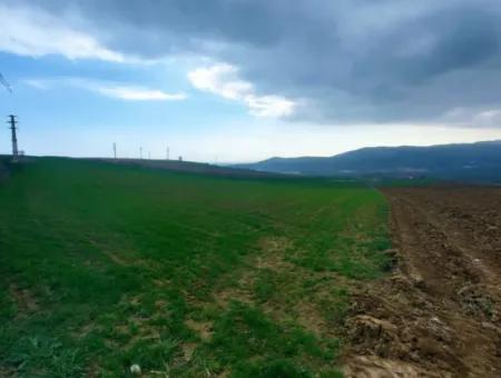 Investitionsmöglichkeit Für Gewerbe- Und Industriegebiete Im Rahmen Des Aktuellen Bebauungsplans Des Asyaport-Hafens In Der Region Tekirdağ Barbaros