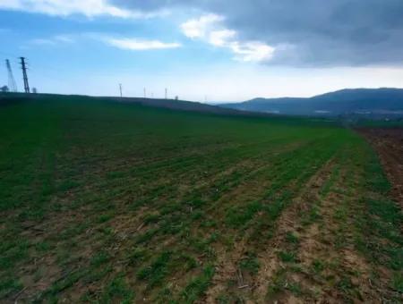 Investitionsmöglichkeit Für Gewerbe- Und Industriegebiete Im Rahmen Des Aktuellen Bebauungsplans Des Asyaport-Hafens In Der Region Tekirdağ Barbaros