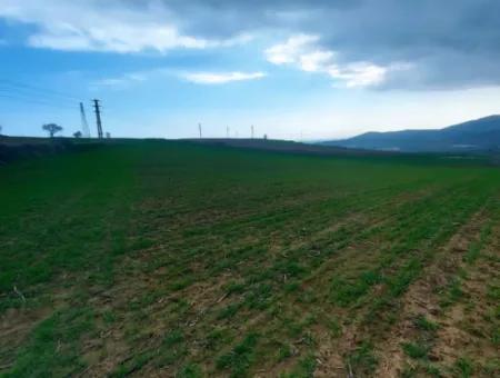 Investitionsmöglichkeit Für Gewerbe- Und Industriegebiete Im Rahmen Des Aktuellen Bebauungsplans Des Asyaport-Hafens In Der Region Tekirdağ Barbaros