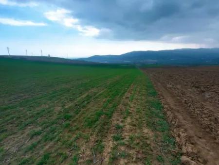 Investitionsmöglichkeit Für Gewerbe- Und Industriegebiete Im Rahmen Des Aktuellen Bebauungsplans Des Asyaport-Hafens In Der Region Tekirdağ Barbaros