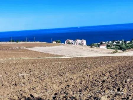 50 Wohnungen Zum Dringenden Verkauf In Der Genossenschaft Tekirdag Barbarosta Und Gutscheinplatz, Der Für Die Herstellung Von Ste Geeignet Ist