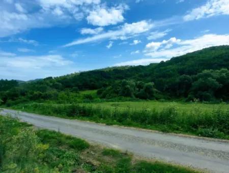 2.820 M2 Gutscheinplatz Geeignet, Um Tiny House In Der Natur Zum Dringenden Verkauf Im Viertel Tekirdağ Avşar Zu Platzieren