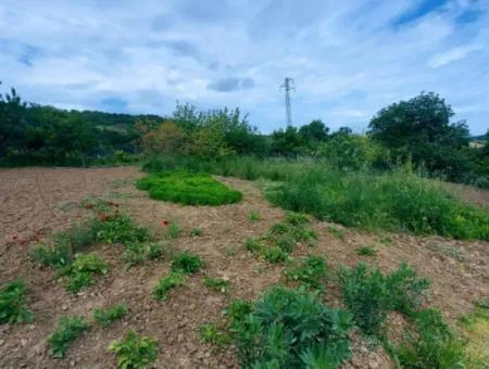 2.820 M2 Gutscheinplatz Geeignet, Um Tiny House In Der Natur Zum Dringenden Verkauf Im Viertel Tekirdağ Avşar Zu Platzieren