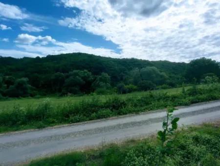 2.820 M2 Gutscheinplatz Geeignet, Um Tiny House In Der Natur Zum Dringenden Verkauf Im Viertel Tekirdağ Avşar Zu Platzieren