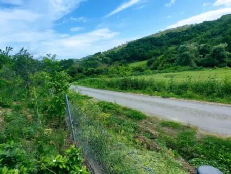 2.820 M2 Gutscheinplatz Geeignet, Um Tiny House In Der Natur Zum Dringenden Verkauf Im Viertel Tekirdağ Avşar Zu Platzieren