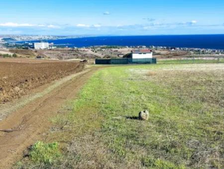 Dringender Verkauf In Barbarosta, Tekirdag, 15.000 M2 Villa Zoniertes Feld!