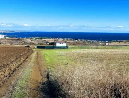 Dringender Verkauf In Barbarosta, Tekirdag, 15.000 M2 Villa Zoniertes Feld!