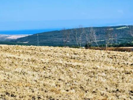 Tekirdağ Aşağkiliçli Mah. 2.340 M2 Kupon Feld Für Dringenden Verkauf, Das Hohe Gewinne Verspricht Und Sich Für Kauf Und Verkauf Eignet