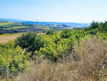 Tekirdağ Aşağkiliçli Mah. 2.340 M2 Kupon Feld Für Dringenden Verkauf, Das Hohe Gewinne Verspricht Und Sich Für Kauf Und Verkauf Eignet