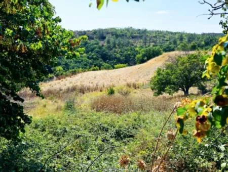 Kelep Kopon Field Zum Dringenden Verkauf Für Diejenigen, Die Eine Rentable Investition In Das Viertel Tekirdag Çanakçi Tätigen Möchten