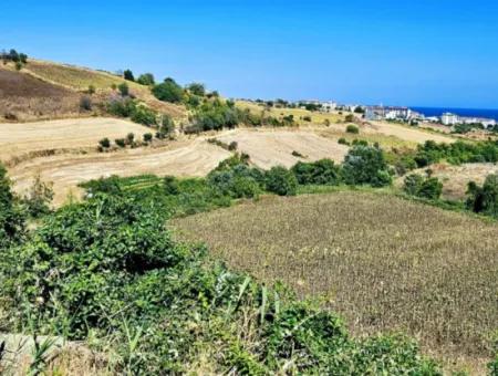 9.100 M2 Villa Zoniertes Feld Zum Dringenden Verkauf In Tekirdag Barbarosta