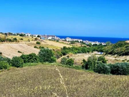 9.100 M2 Villa Zoniertes Feld Zum Dringenden Verkauf In Tekirdag Barbarosta