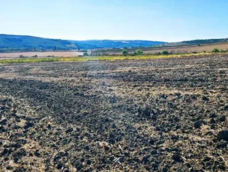 Der Hafen Von Asyaport Liegt Ganz In Der Nähe Der Bestehenden Zonierung Von 17.350 M2 Schnäppchen-Investitionscoupon-Feld Für Den Dringenden Verkauf