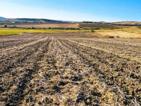 Der Hafen Von Asyaport Liegt Ganz In Der Nähe Der Bestehenden Zonierung Von 17.350 M2 Schnäppchen-Investitionscoupon-Feld Für Den Dringenden Verkauf