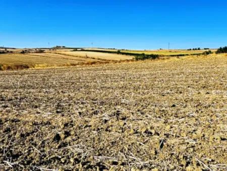 Der Hafen Von Asyaport Liegt Ganz In Der Nähe Der Bestehenden Zonierung Von 17.350 M2 Schnäppchen-Investitionscoupon-Feld Für Den Dringenden Verkauf