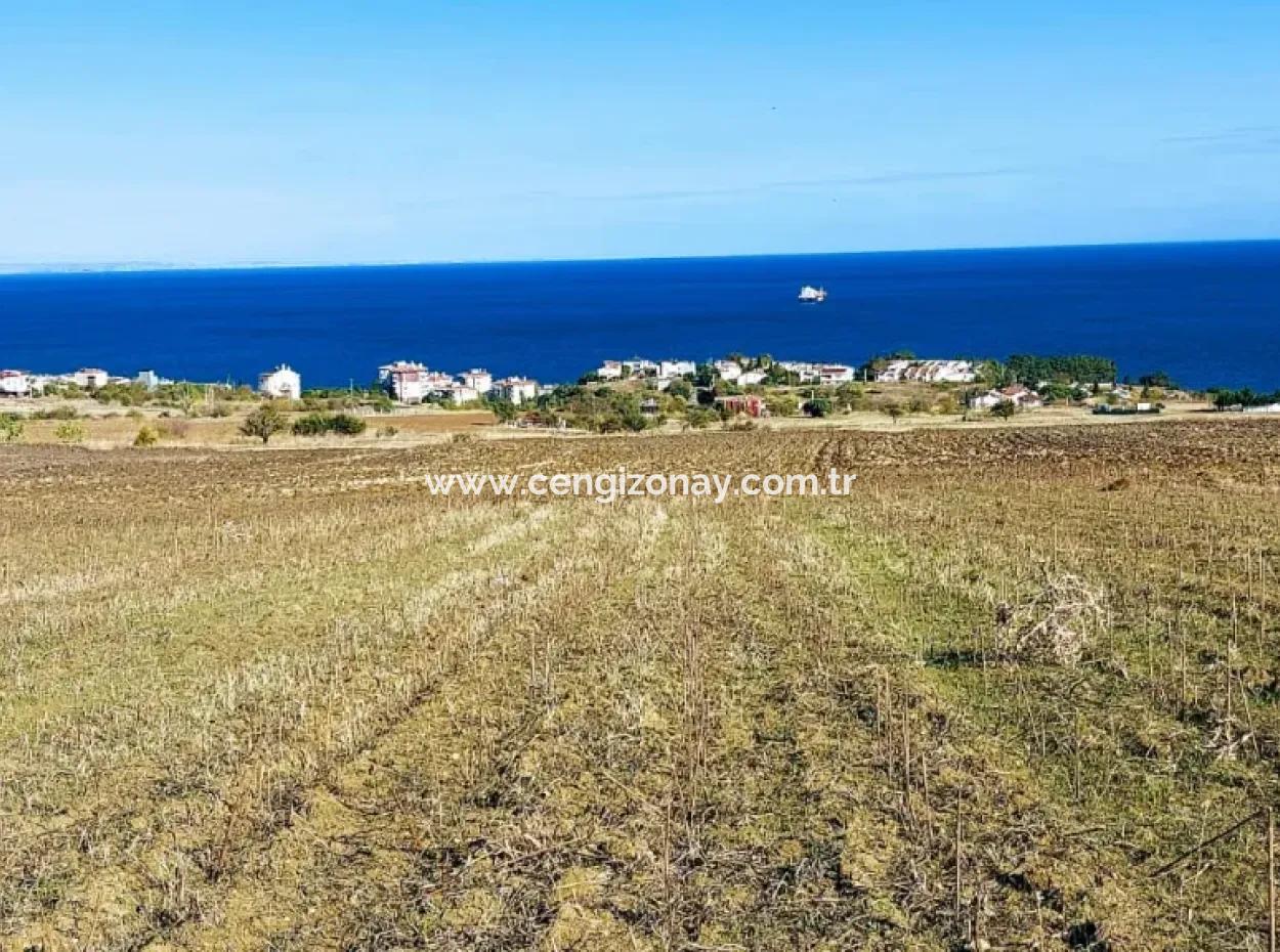 High Profit Guarantee For Tekirdag Emergency Sale 6 Flat Opportunity Land Investor