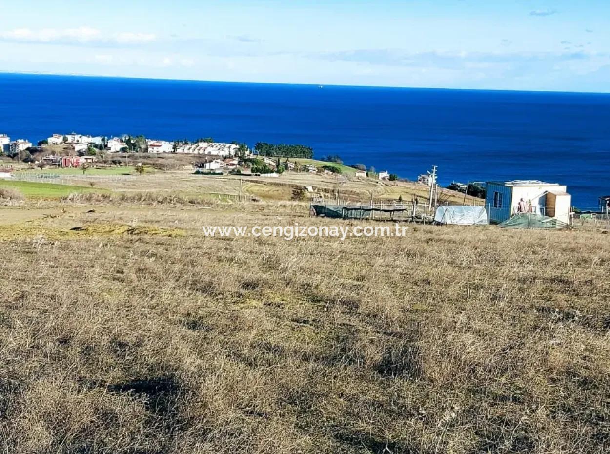 Opportunity Land Suitable For Building Your Detached House In Your Pregnant House For Urgent Sale In Tekirdag Barbarosta