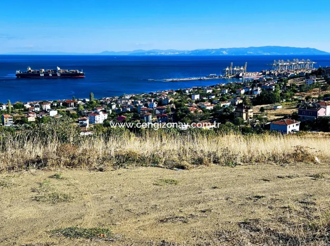 Opportunity Land Suitable For Making Your Detached House With Pool In Your Pregnant House For Urgent Sale In Tekirdag Barbarosta