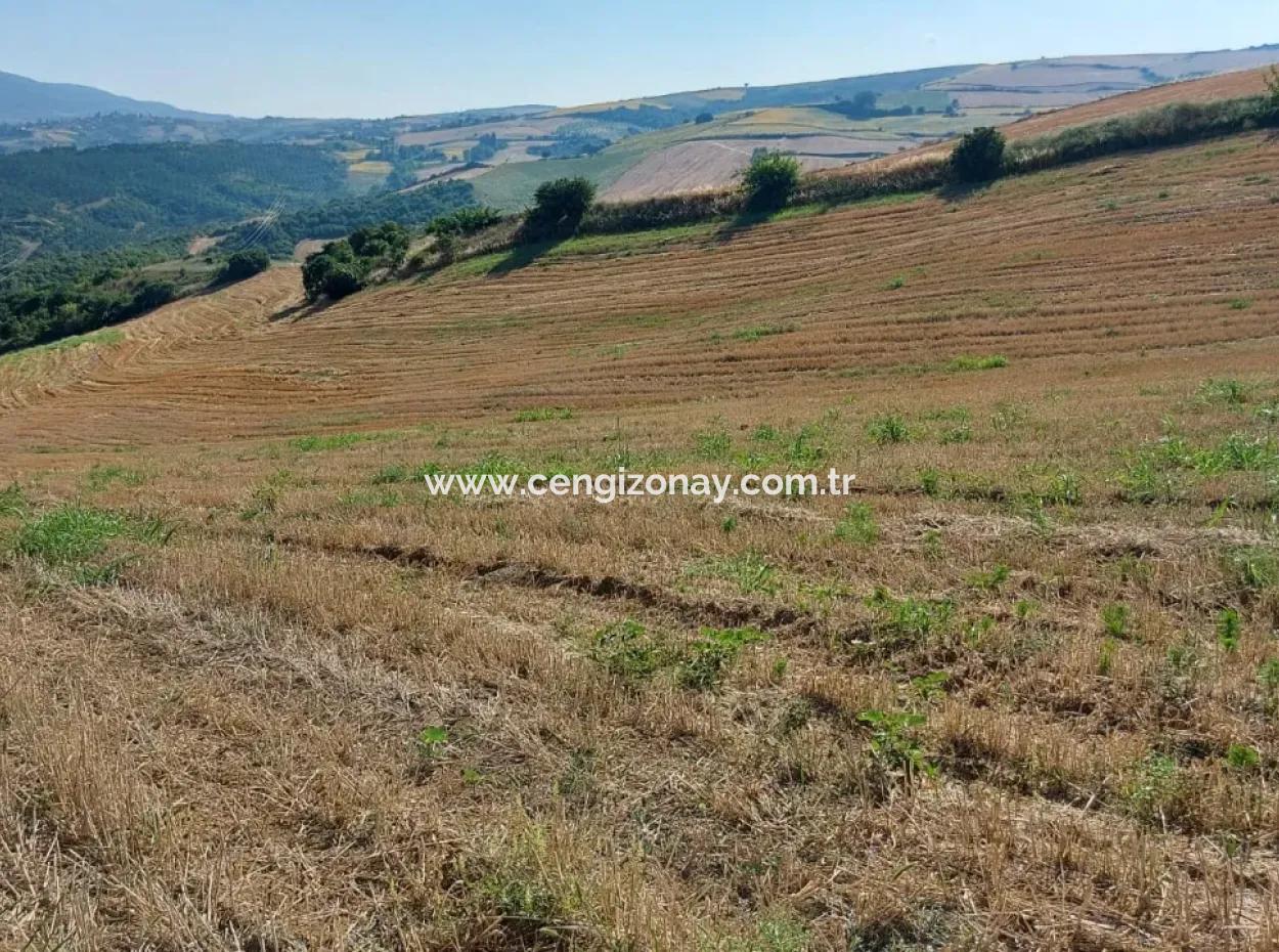 Located In Tekirdağ Işıklar District, This Bargain Has A Potential That Is Extremely Suitable For Various Agricultural Activities Such As 45 Acres Of Fields, Vineyards, Gardens And Nurseries