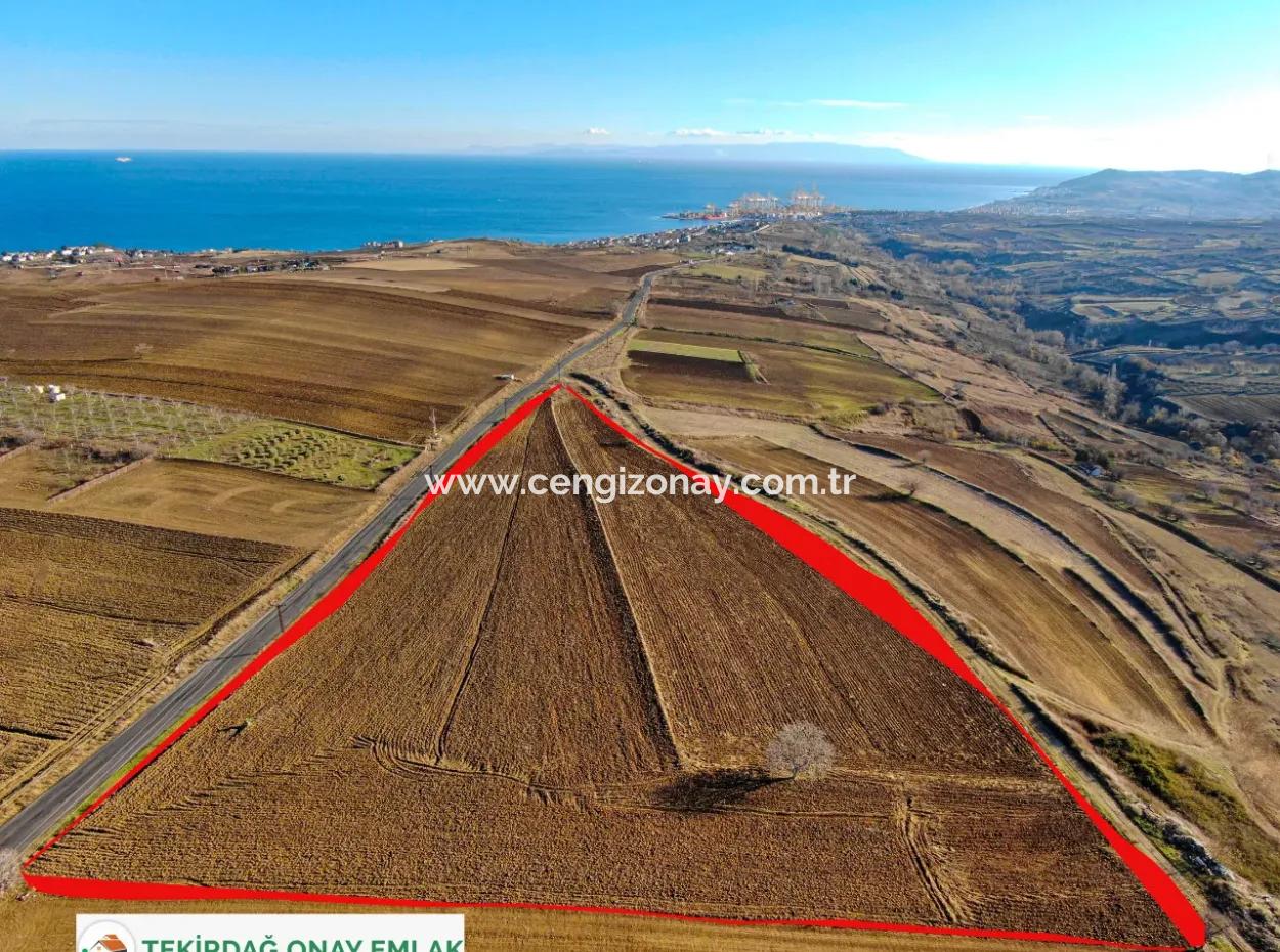 34 000 M2 Rental Field In Tekirdağ Süleymanpaşa Barbaros Neighborhood