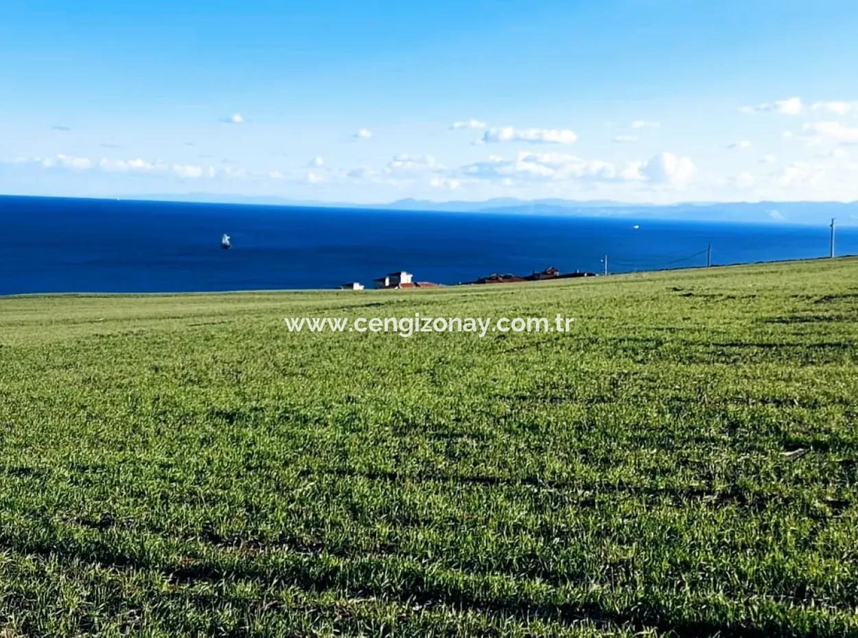 1.750 M2 Bargain Corner Plot With Full Sea View For Urgent Sale In Tekirdag Barbarosta