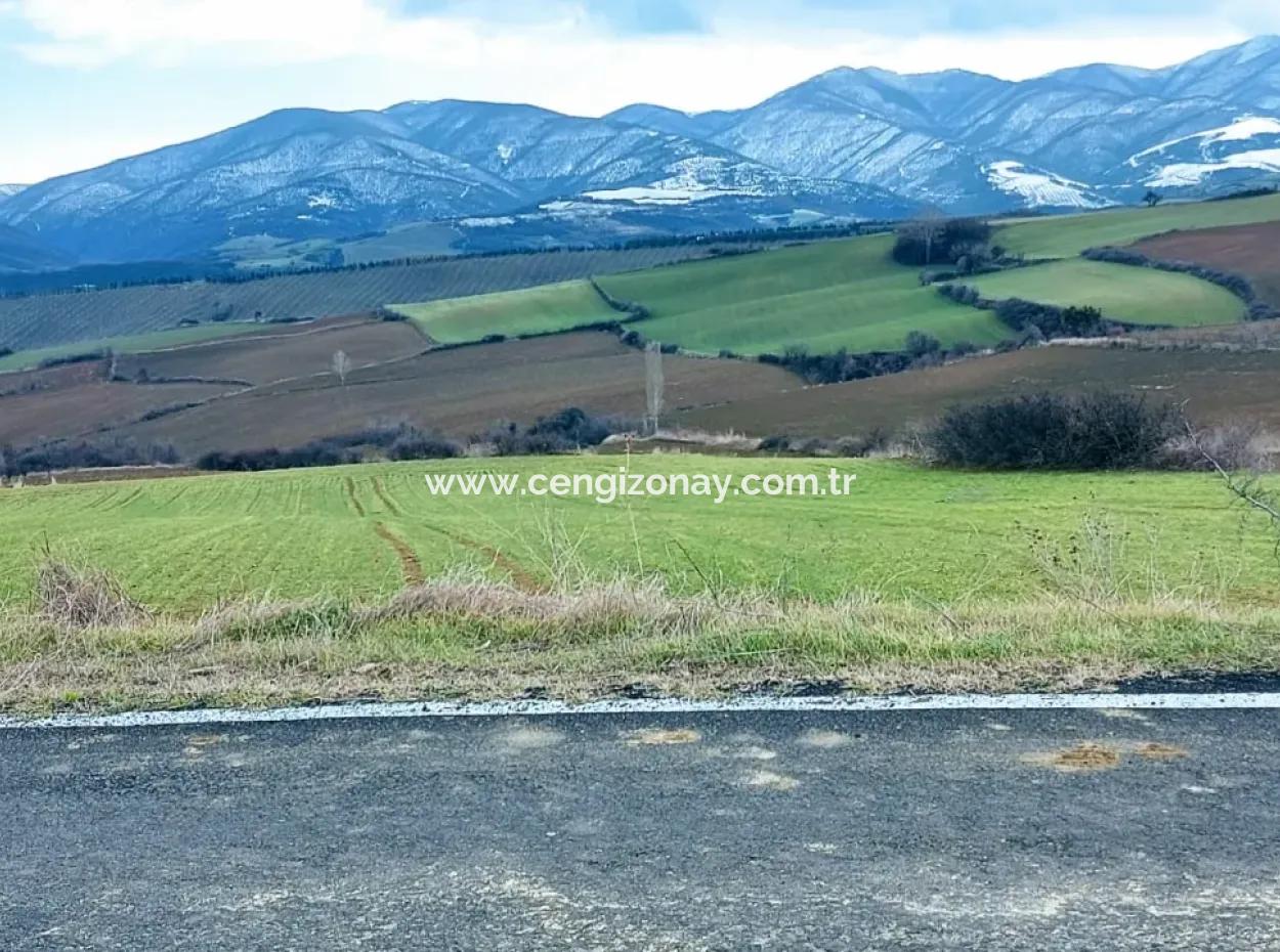 Field For Sale In Tekirdağ Süleymanpaşa Işıklar Mahallesi