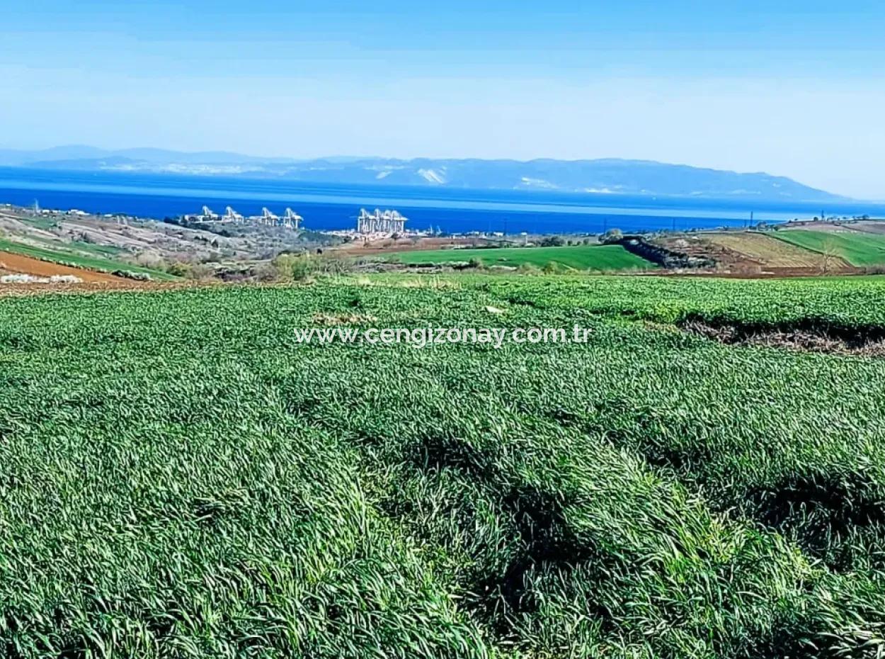 Land For Sale In 19,500 Square Meters Of Commercial And Industrial Area In Nusuratlı Area Of Tekirdağ