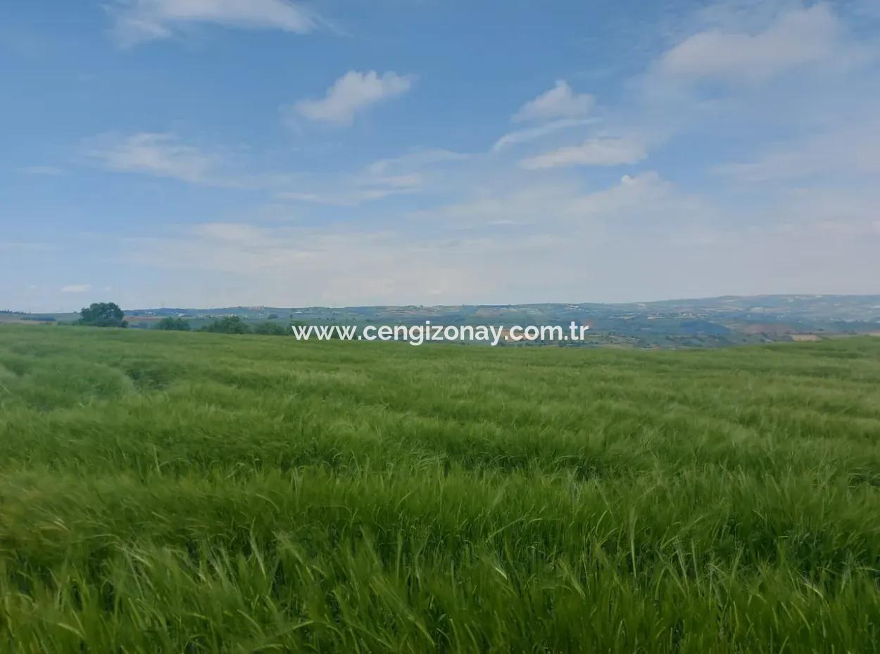 14.100 M2 Investment Bargain Field For Sale In Tekirdağ Süleymanpaşa Yavuz District