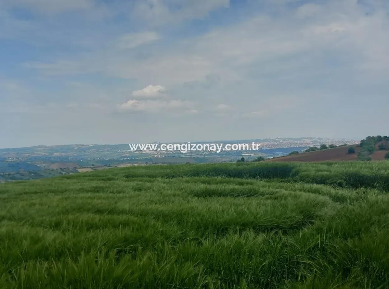 14.100 M2 Investment Bargain Field For Sale In Tekirdağ Süleymanpaşa Yavuz District