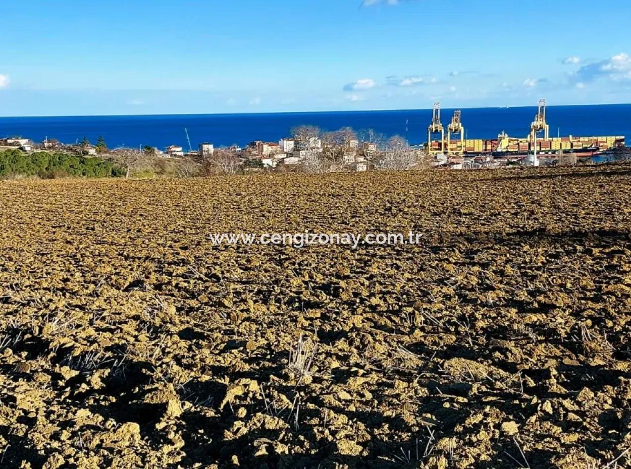 18 100 M2 Residential Zoned Field Located Very Close To Tekirdağ Barbaros Asyaport Port