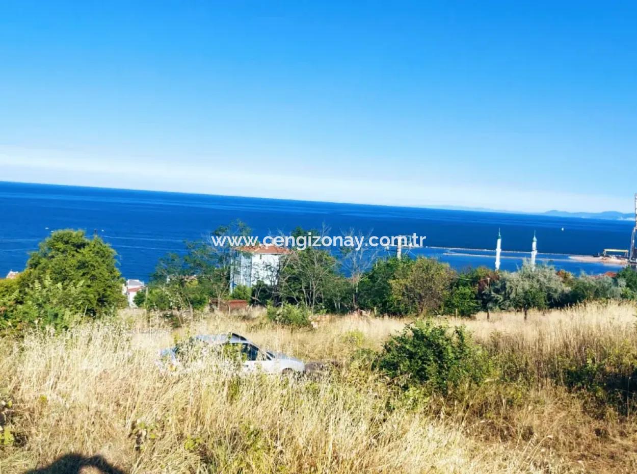 590 M2 Plot Of Land With Full Sea View In Tekirdag Barbarossa, Suitable For 3 Villas!