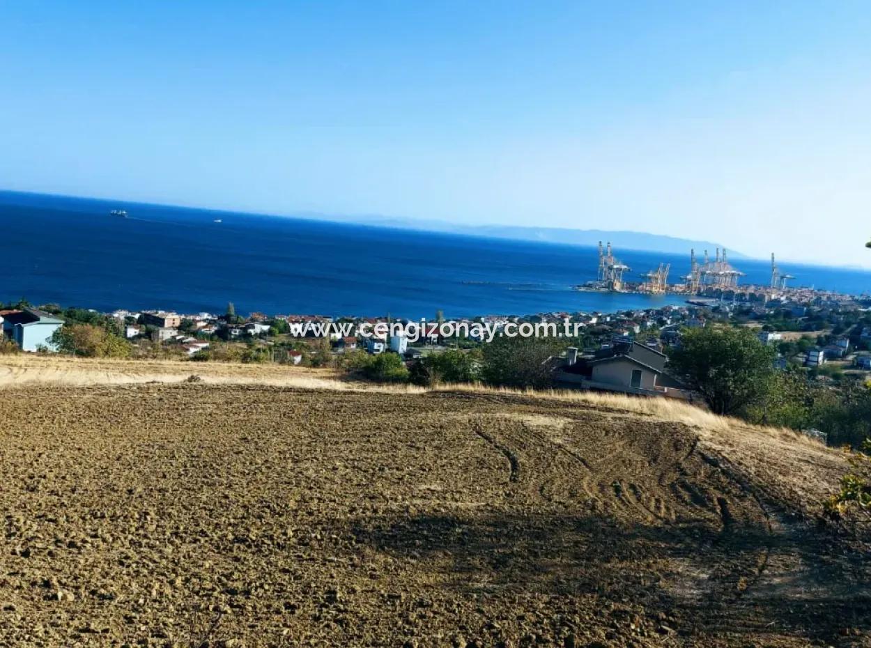 16.850 M2 Sea And Nature View Cooperative And Site Zoned Investment Land In Tekirdağ Barbaros!