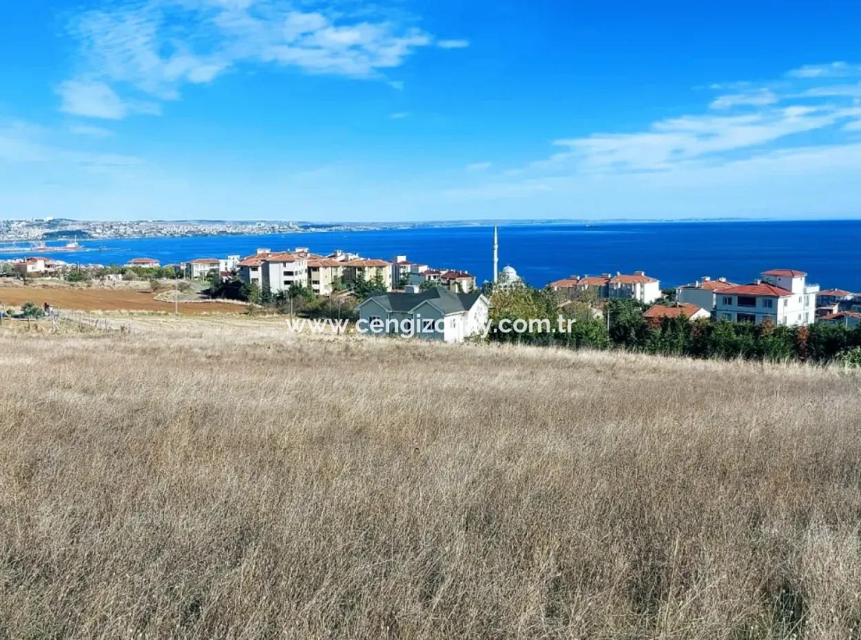 6.400 M2 Residential Zoned Investment Opportunity In Topağaç Neighborhood Of Tekirdağ