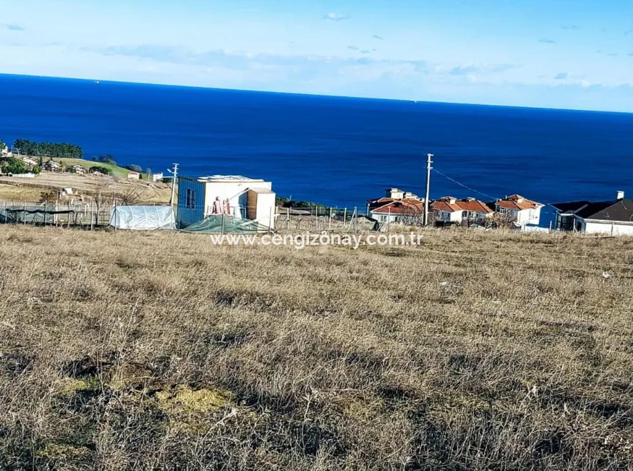 720 M2 Bargain Corner Plot With Full Sea View Suitable For Building A Detached House With Pool For Emergency Sale In Tekirdag Barbarosta