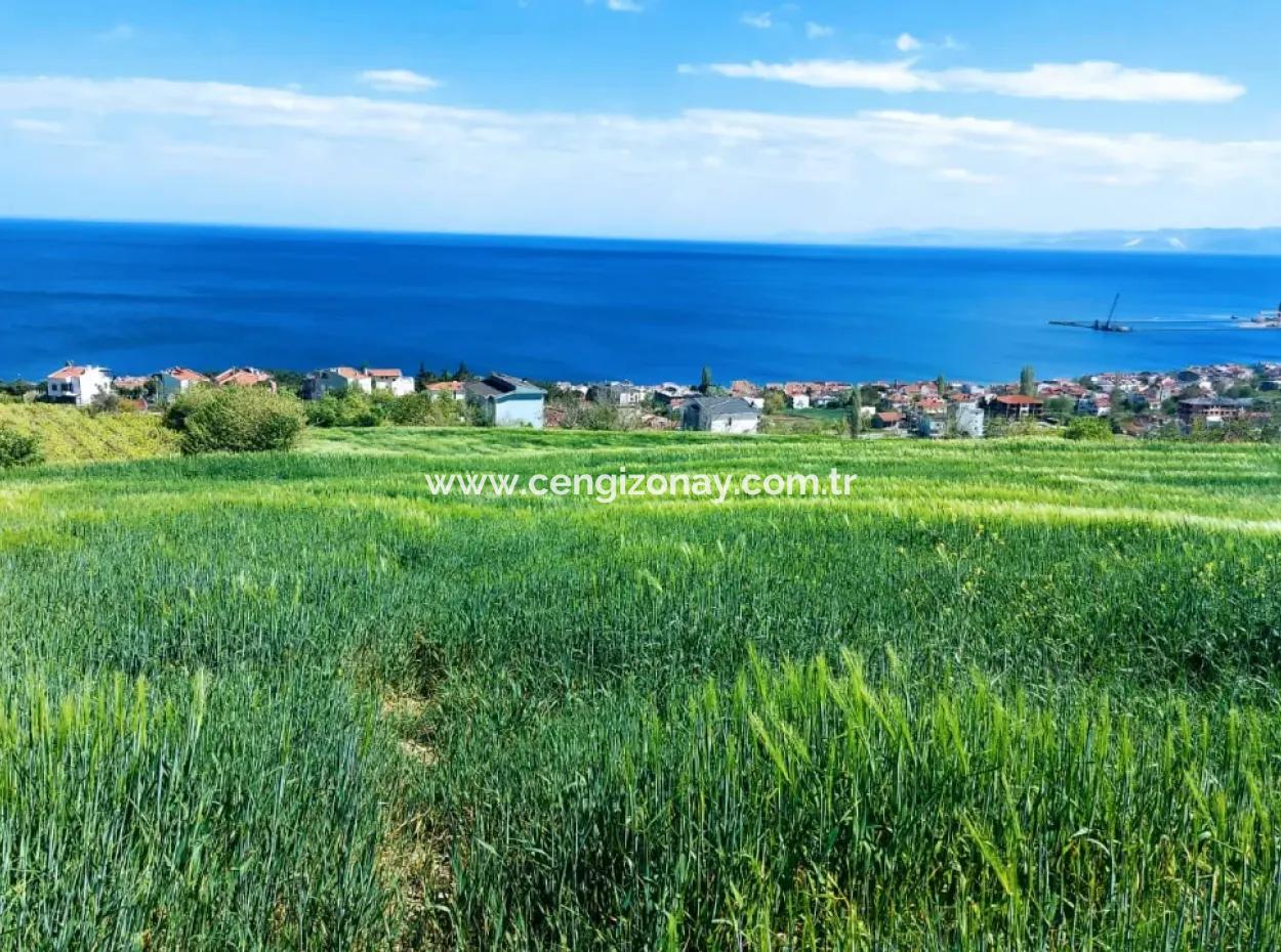 Tekirdag Barbarosta 42 Flats For Urgent Sale Cooperative And Suitable Place For Site Construction