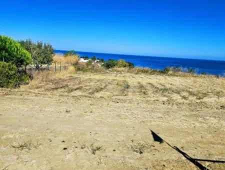 Coupon Land Suitable For Building A Detached House With Full Sea View For Urgent Sale In Tekirdag Barbarosta