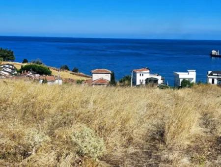 Coupon Land Suitable For Building A Detached House With Full Sea View For Urgent Sale In Tekirdag Barbarosta