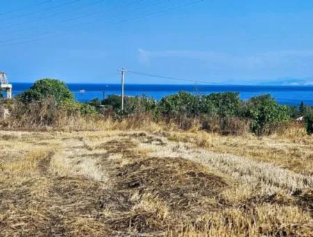 8.500 M2 Residential Zoned Coupon Field For Urgent Sale Close To Asyaport Port