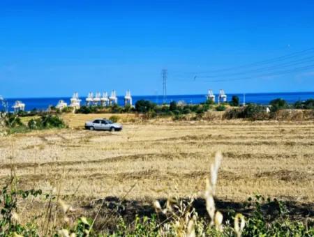 8.500 M2 Residential Zoned Coupon Field For Urgent Sale Close To Asyaport Port