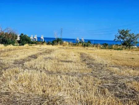 8.500 M2 Residential Zoned Coupon Field For Urgent Sale Close To Asyaport Port