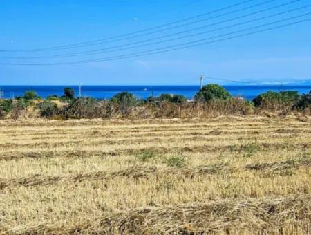 4.150 M2 Residential Zoned Field For Urgent Sale Just 1 Km From Asyaport Port