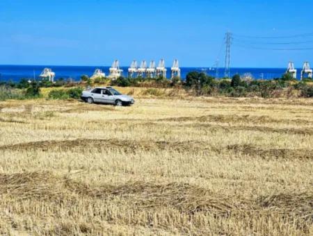 4.150 M2 Residential Zoned Field For Urgent Sale Just 1 Km From Asyaport Port