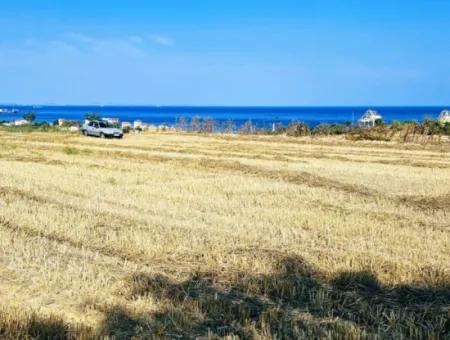 4.150 M2 Residential Zoned Field For Urgent Sale Just 1 Km From Asyaport Port