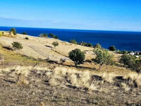 532 M2 Corner Plot For Sale In Tekirdag Süleymanpaşa Barbaros Neighborhood With Magnificent Sea And Nature Views