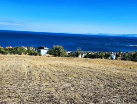 25 Flats With Full Sea View Coupon Place For Urgent Sale In Tekirdag Barbarosta