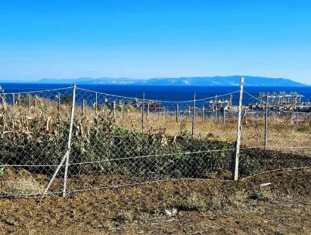 765 M2 Bargain Land With Full Sea View For Urgent Sale In Tekirdag Barbarosta