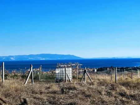 765 M2 Bargain Land With Full Sea View For Urgent Sale In Tekirdag Barbarosta