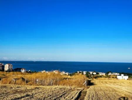 1.750 M2 Bargain Corner Plot With Full Sea View For Urgent Sale In Tekirdag Barbarosta