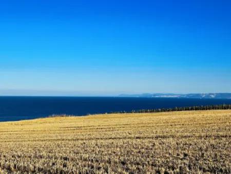 1.750 M2 Bargain Corner Plot With Full Sea View For Urgent Sale In Tekirdag Barbarosta